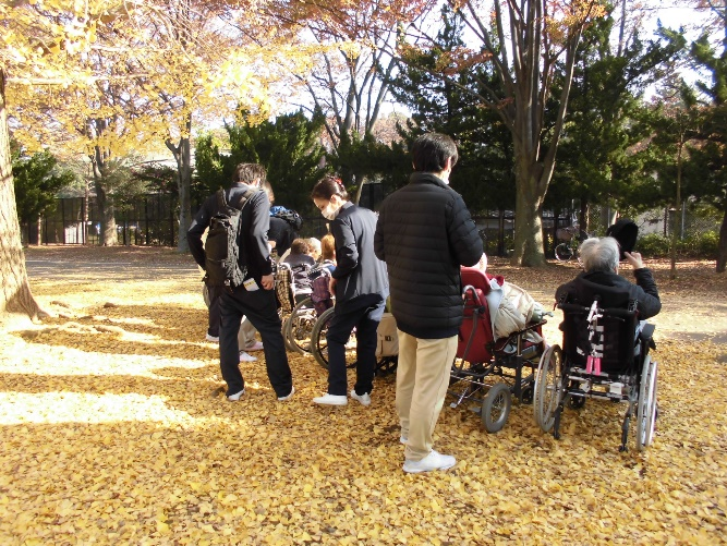 11月28日　紅葉外出しました。